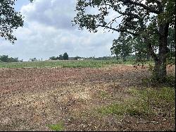 3.35 ACRES tbd County Road 2169, Troup TX 75789