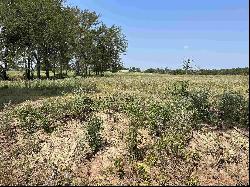 3.35 ACRES tbd County Road 2169, Troup TX 75789