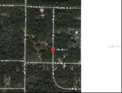 7243 Willoughby Drive, Webster FL 33597