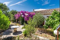 Mediterranean charm property and pool, minutes from Nice centre, to renovate.