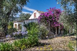 Mediterranean charm property and pool, minutes from Nice centre, to renovate.