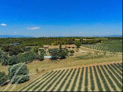 Farmhouse and its sheepfold to renovate near Aix en Provence