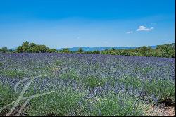 Farmhouse and its sheepfold to renovate near Aix en Provence