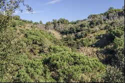 Plot for sale on the Nort Coast of Barcelona overlooking the Mediterranean Sea