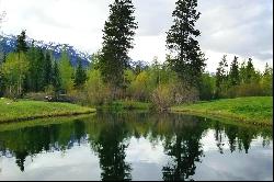 One of the Last Estate Lots in Teton Pines