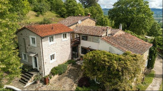 Villa Fontanelle with bio-pool and view of Poppi castle - Tuscany