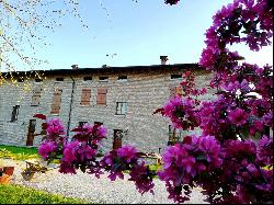 Farmhouse in Mantua