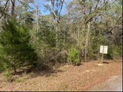 Lot 25,26 Choctawhatchee River Road, Ponce De Leon FL 32455