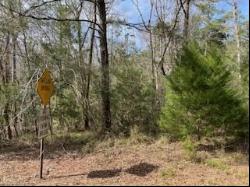 Lot 25,26 Choctawhatchee River Road, Ponce De Leon FL 32455