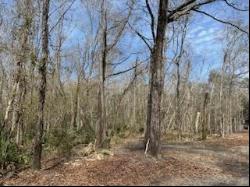 Lot 25,26 Choctawhatchee River Road, Ponce De Leon FL 32455