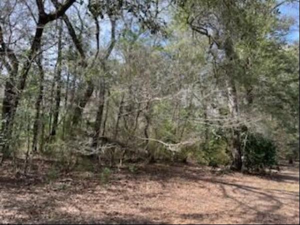 Lot 25,26 Choctawhatchee River Road, Ponce De Leon FL 32455