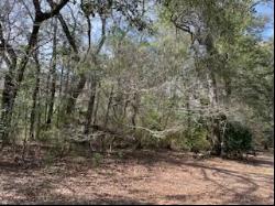 Lot 25,26 Choctawhatchee River Road, Ponce De Leon FL 32455