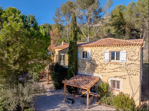 Between Aubagne and Aix-en-Provence - Provencal villa with pool and vast garden