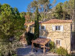 Between Aubagne and Aix-en-Provence - Provençal villa with pool and vast garden