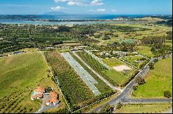 Tawharanui Peninsula