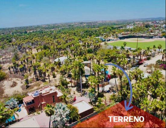 Todos Santos - La Paz, Todos Santos 