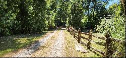 Farm in Panguipulli