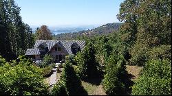 Farm in Panguipulli