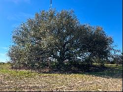 Beautiful Acreage Overlooking Bullard, TX