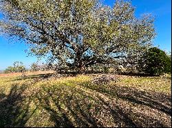 Beautiful Acreage Overlooking Bullard, TX