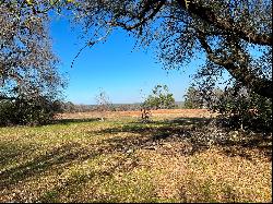 Beautiful Acreage Overlooking Bullard, TX