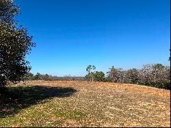 Beautiful Acreage Overlooking Bullard, TX