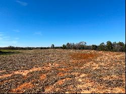 Beautiful Acreage Overlooking Bullard, TX