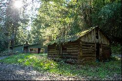 Redwood Sanctuary on 160-acres