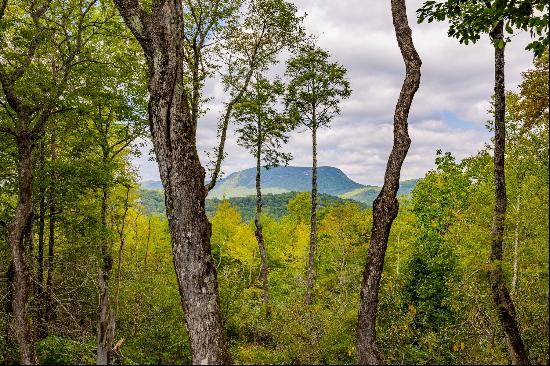 119 Garnet Rock Trail, Highlands, Nc 28741