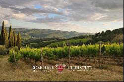 Tuscany - WINE ESTATE WITH 25.1 HA OF VINEYARDS FOR SALE IN CHIANTI ARETINO