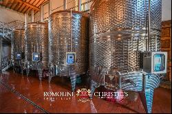 Tuscany - WINE ESTATE WITH 25.1 HA OF VINEYARDS FOR SALE IN CHIANTI ARETINO