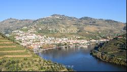 Wine estate with river views, for sale, in Pinho, Douro Valley, Portugal