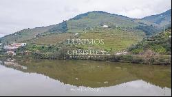 Wine estate with river views, for sale, in Pinho, Douro Valley, Portugal