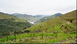 Wine estate with river views, for sale, in Pinhão, Douro Valley, Portugal