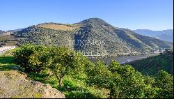 Wine estate with river views, for sale, in Pinhão, Douro Valley, Portugal
