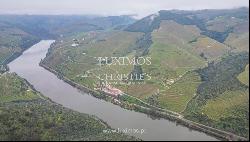 Wine estate with river views, for sale, in Pinho, Douro Valley, Portugal