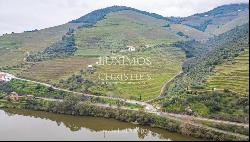 Wine estate with river views, for sale, in Pinhão, Douro Valley, Portugal