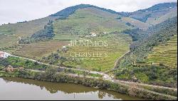 Wine estate with river views, for sale, in Pinho, Douro Valley, Portugal