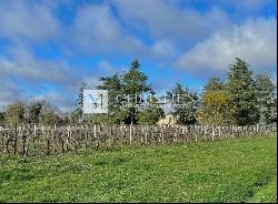 Attractive 9-hectare vineyard estate with 2 houses - AOC Castillon Cotes de Bordeaux