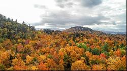 Ruisseaumont Way, Lake Placid NY 12946