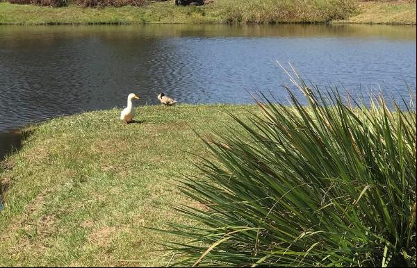 Lot 22 Block A Eagles View, Headland AL 36345