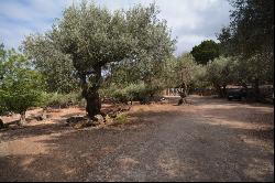 Rustic finca for sale in the mountains of Sóller, Mallorca, Sóller 07100