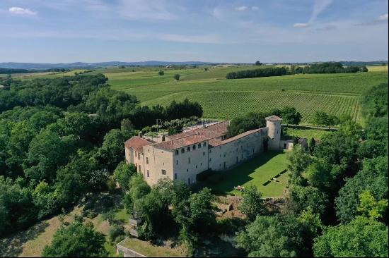 Near TOULOUSE, CHaTEAU XIIIe in excellent condition with hotel activity