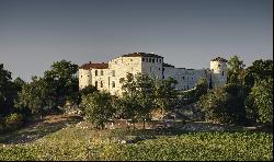 Near TOULOUSE, CHaTEAU XIIIe in excellent condition with hotel activity