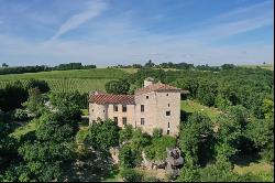 Near TOULOUSE, CHaTEAU XIIIe in excellent condition with hotel activity