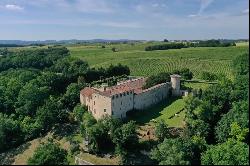 Near TOULOUSE, CHaTEAU XIIIe in excellent condition with hotel activity