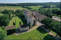 Near TOULOUSE, CHaTEAU XIIIe in excellent condition with hotel activity