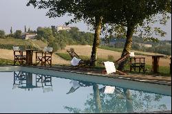 Near TOULOUSE, CHaTEAU XIIIe in excellent condition with hotel activity