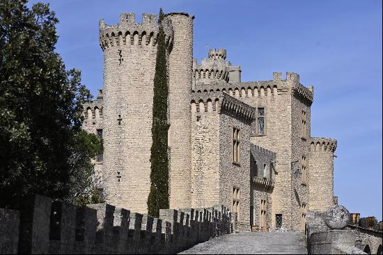 19th-century castle with 360° panoramic view!