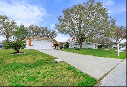 10154 SW 62nd Court, Ocala FL 34476